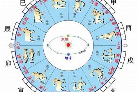 天干地支生肖|地支